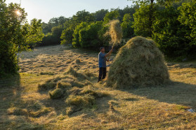 People and communities of Komarnica: village life